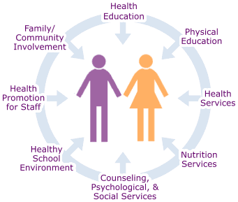 Coordinated School Health Model: Health Education; Physical Education; Health Services; Nutrition Services; Counseling, Psychological, and Social Services; Healthy School Environment; Health Promotion for Staff; Family and Community Involvement.