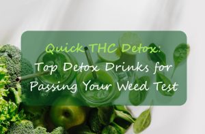 Top Detox Drinks for Passing Your Weed Test